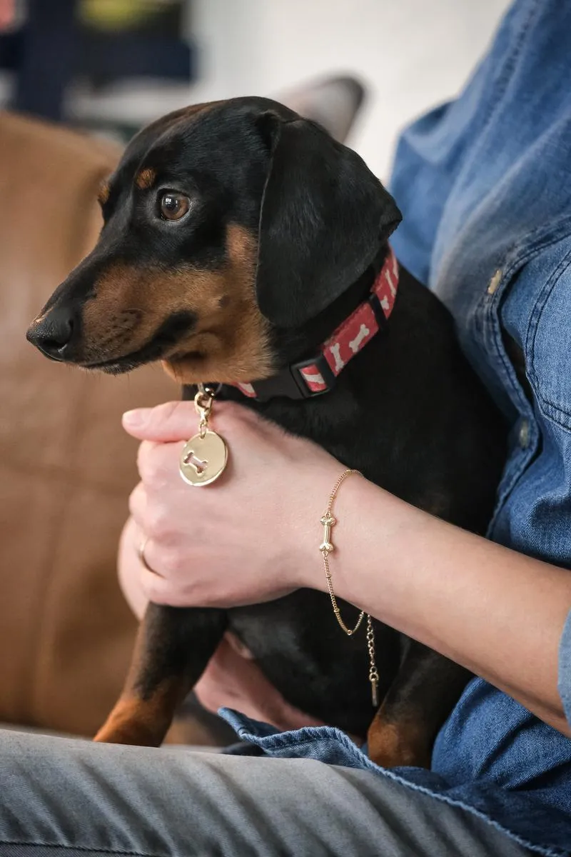 Bracelet/Collar Charm Set - Gold Bone