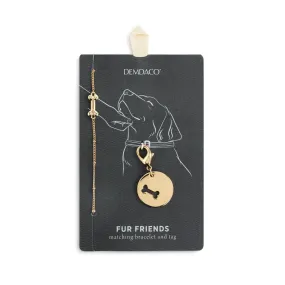 Bracelet/Collar Charm Set - Gold Bone