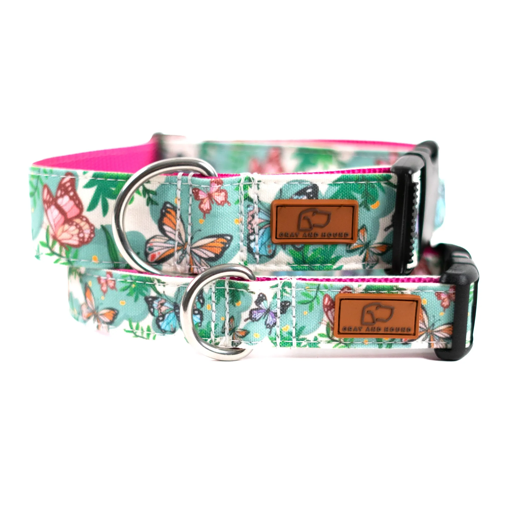 Butterfly Garden Dog Collar