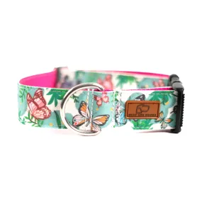 Butterfly Garden Dog Collar