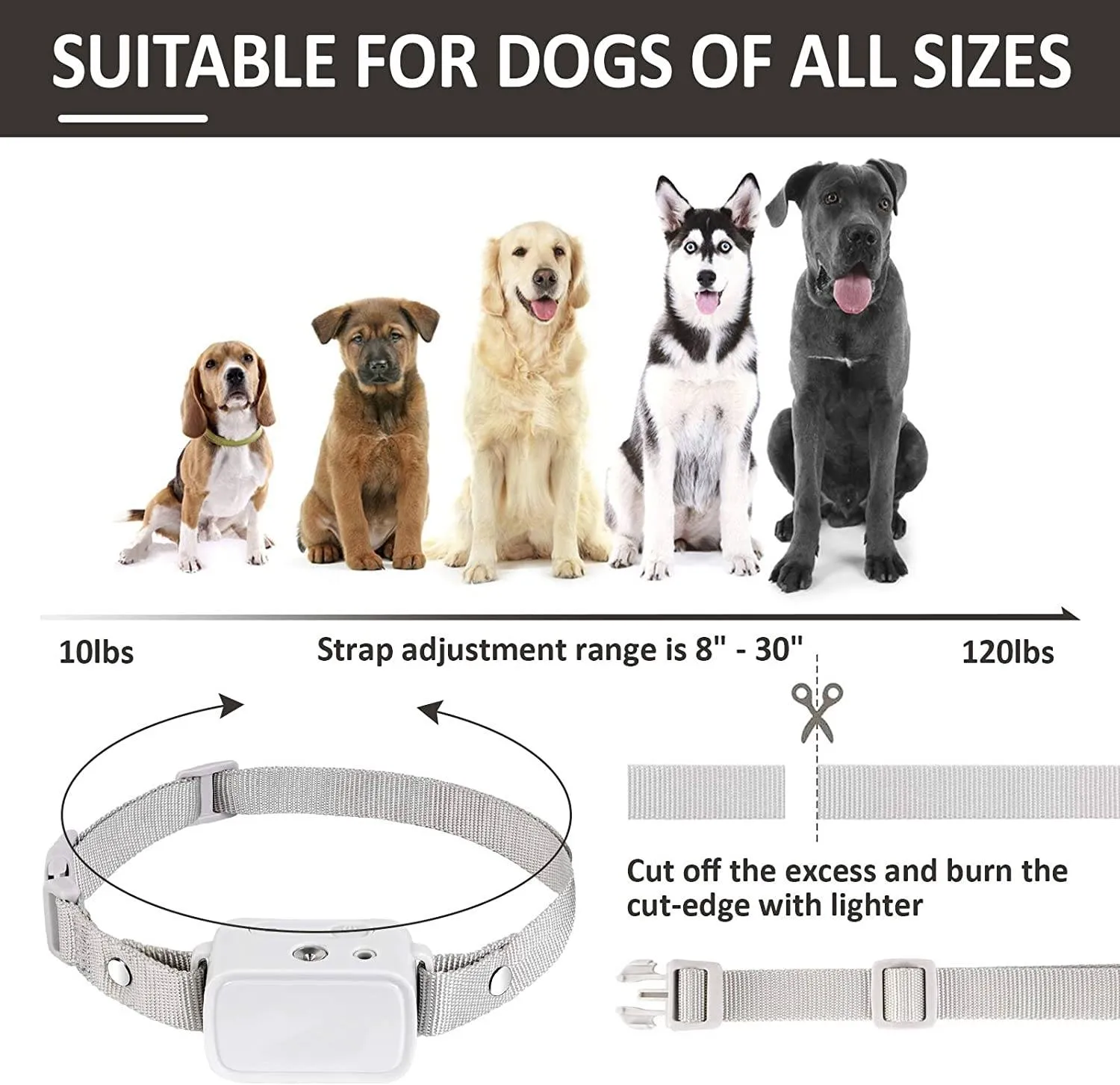 Calmshops Deluxe Dog Training Spray Collar, Dog Collar with Citronella Spray