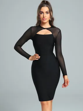Elegant Mesh Evening Dress
