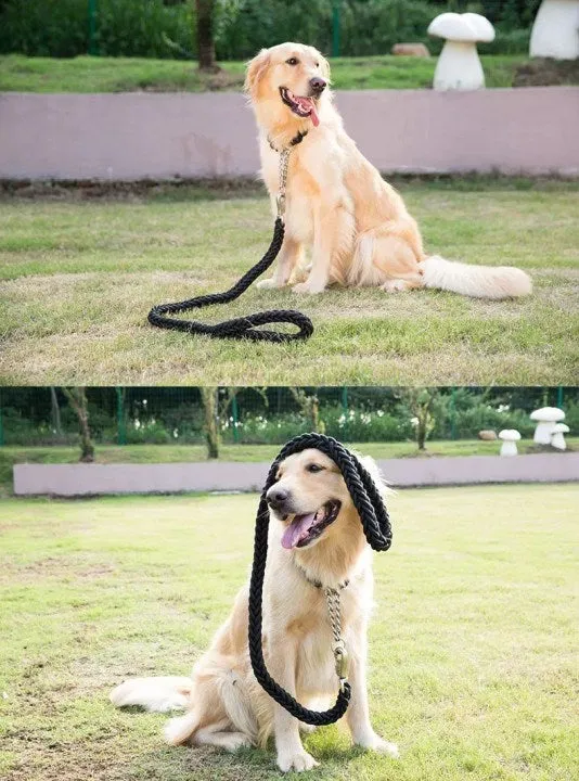 Hot selling Durable Nylon Pet Dog Leash