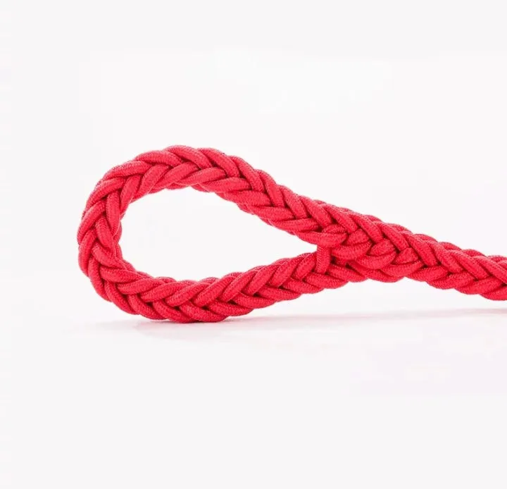 Hot selling Durable Nylon Pet Dog Leash