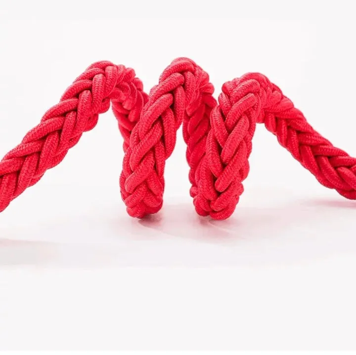 Hot selling Durable Nylon Pet Dog Leash