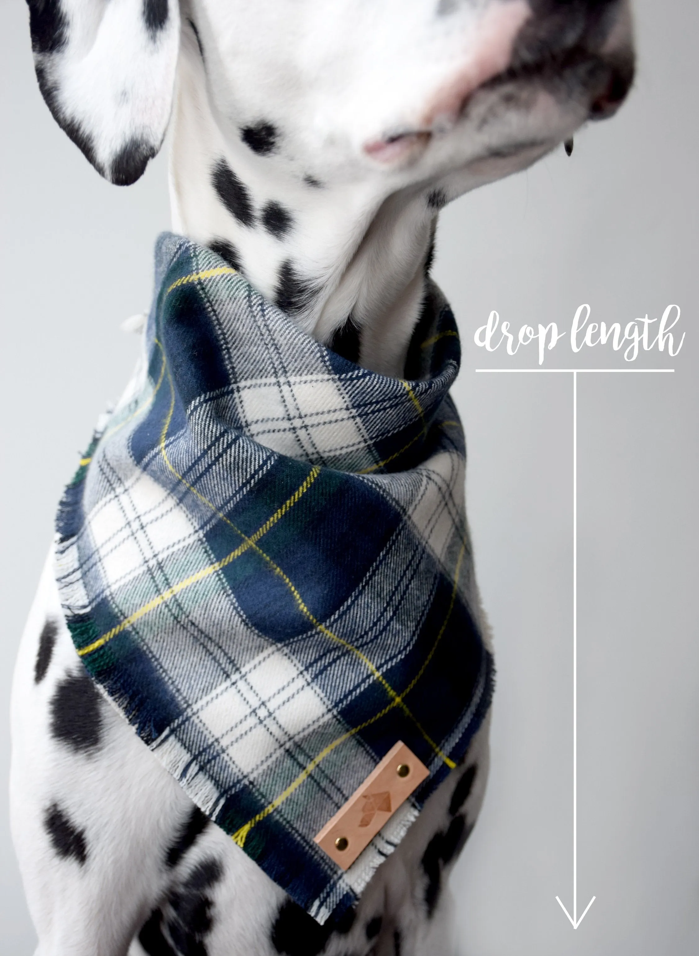 LUPINE Fringed Flannel Dog Bandana - Snap/Tie On Cotton Scarf