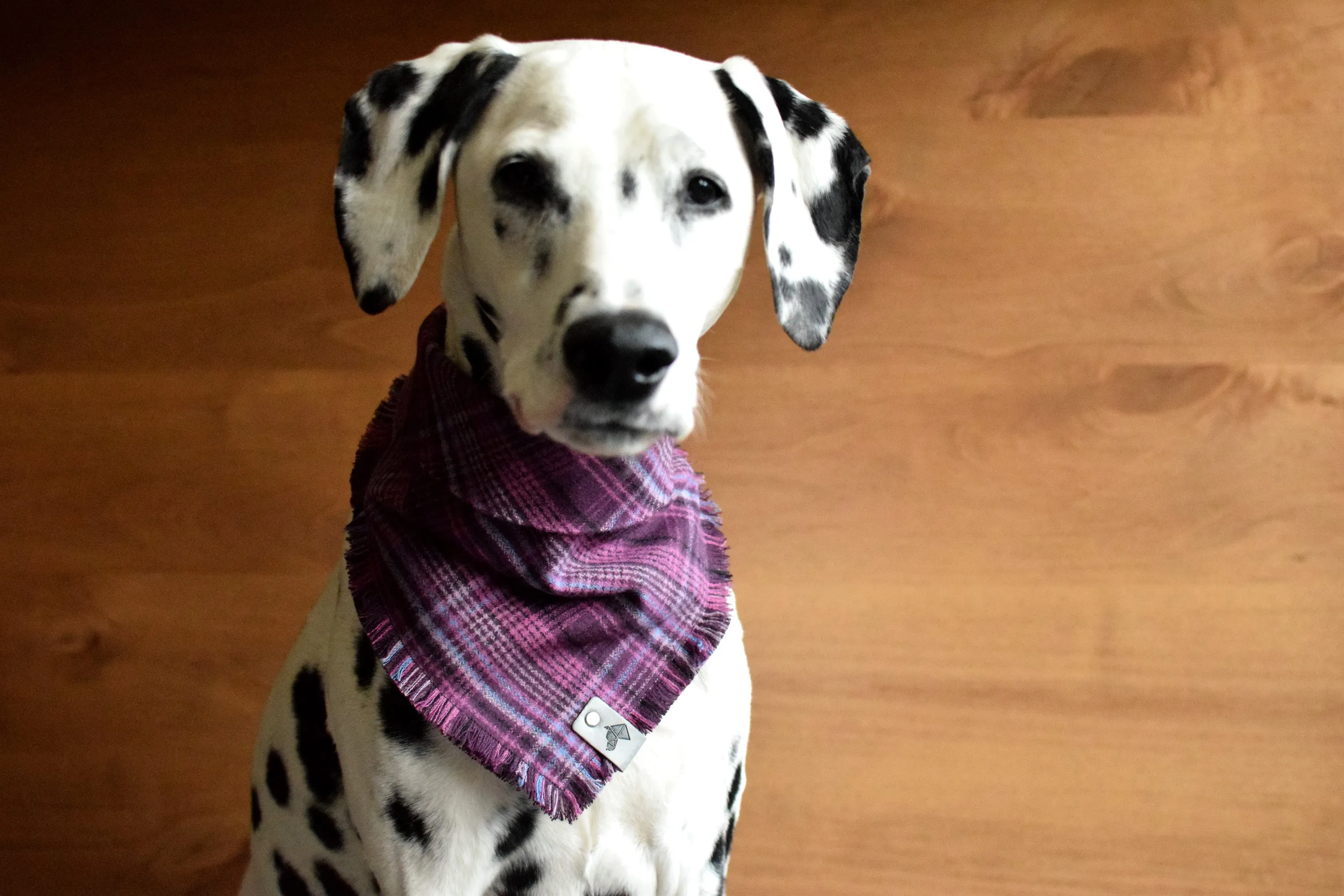 LUPINE Fringed Flannel Dog Bandana - Snap/Tie On Cotton Scarf