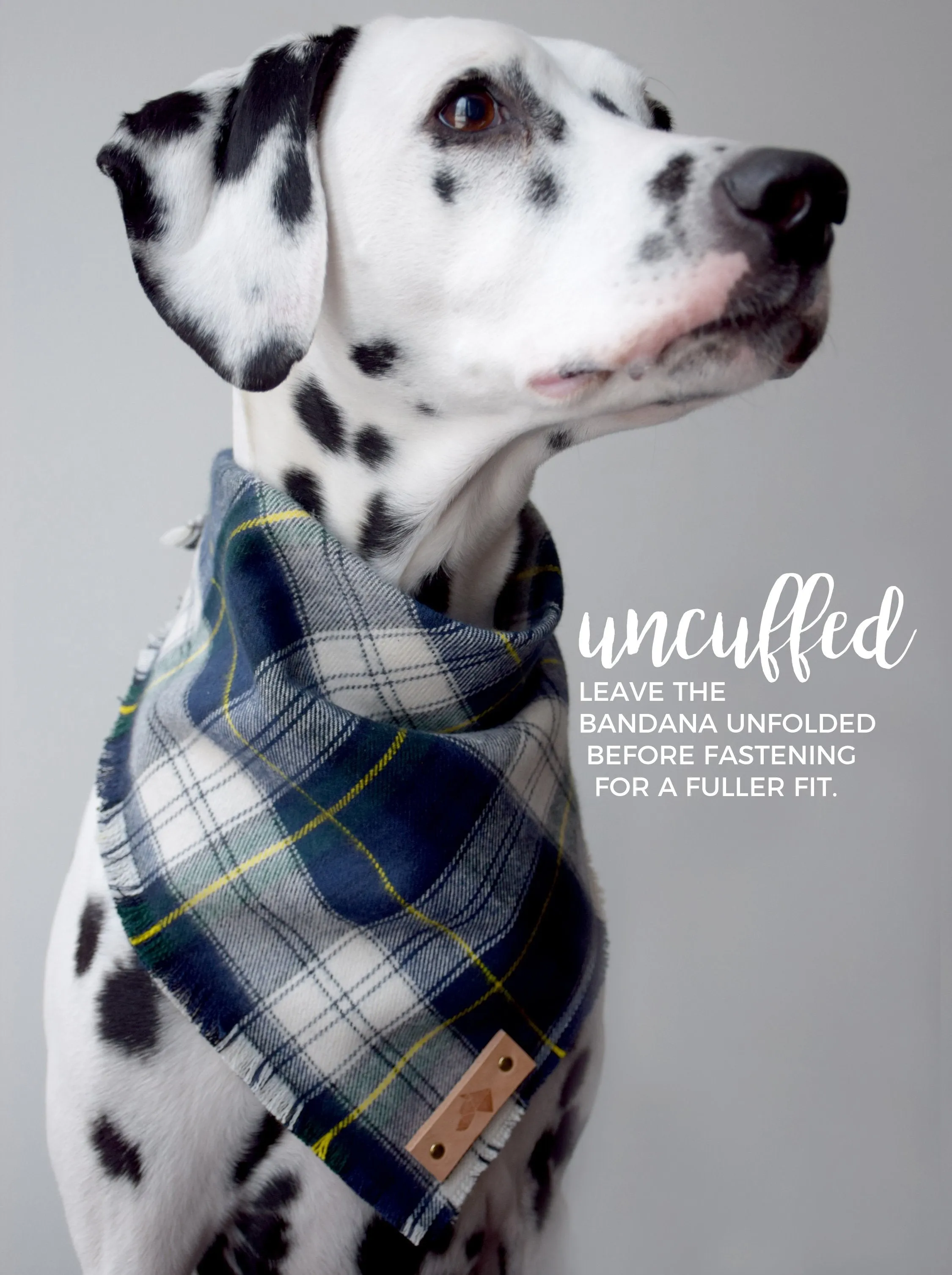 LUPINE Fringed Flannel Dog Bandana - Snap/Tie On Cotton Scarf