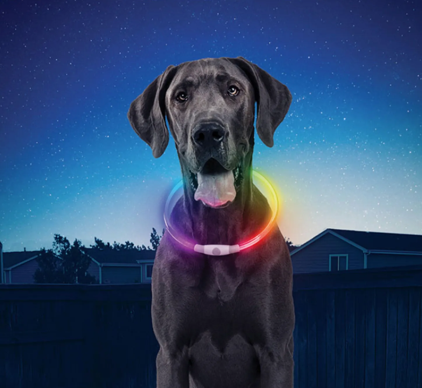 NiteHowl Rechargeable LED Necklace ~ Disco-O Select