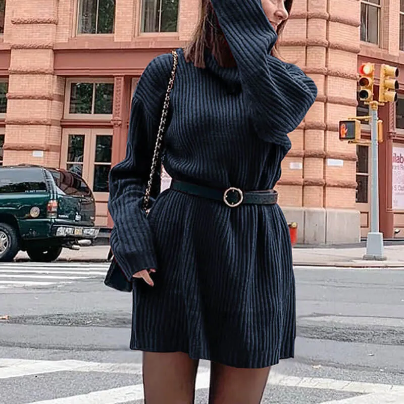 Plus Size Long Sleeve Turtleneck Sweater Dress