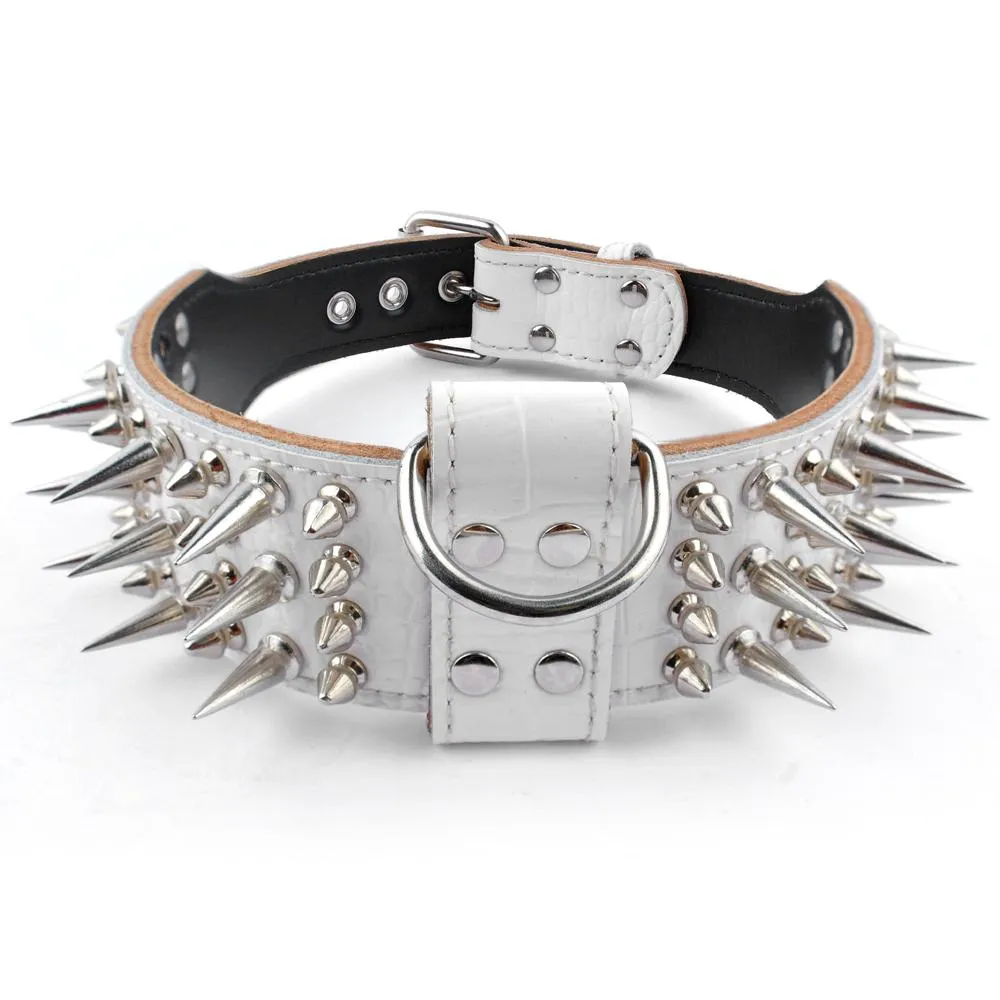 Spiked Collar for Big Dogs