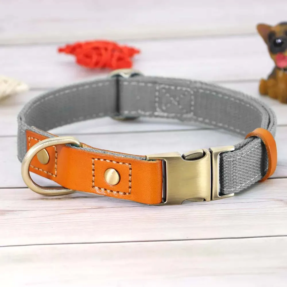 TailWag Freedom Dog Collar Nylon Leather