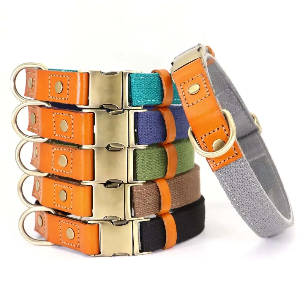 TailWag Freedom Dog Collar Nylon Leather
