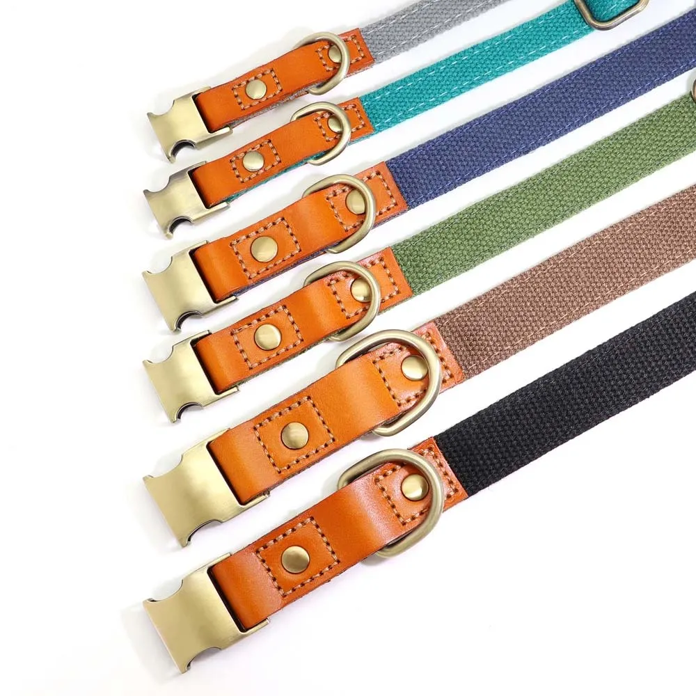 TailWag Freedom Dog Collar Nylon Leather