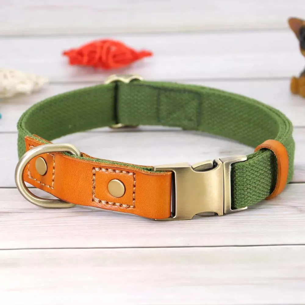 TailWag Freedom Dog Collar Nylon Leather