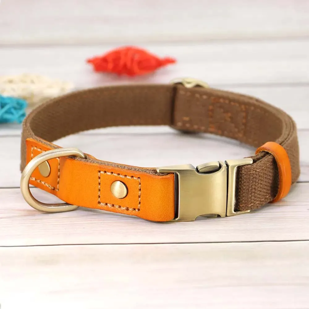 TailWag Freedom Dog Collar Nylon Leather