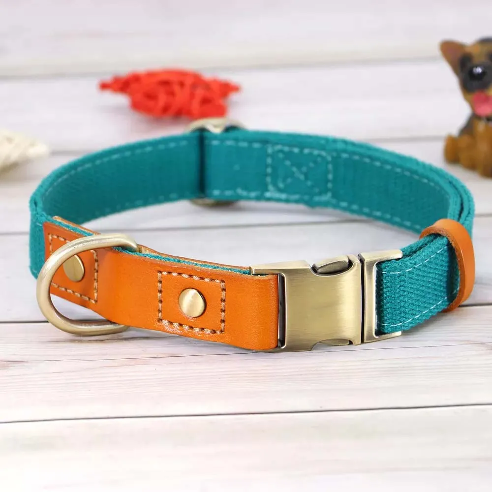TailWag Freedom Dog Collar Nylon Leather