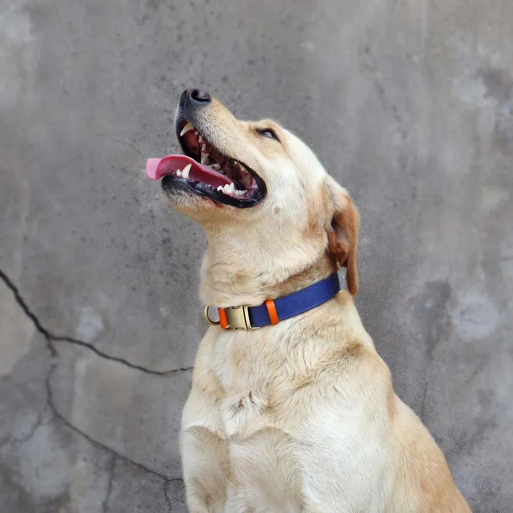 TailWag Freedom Dog Collar Nylon Leather