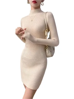 Women Mock Neck Long Sleeve Knit Sexy Bodycon Dress  Autumn Winter